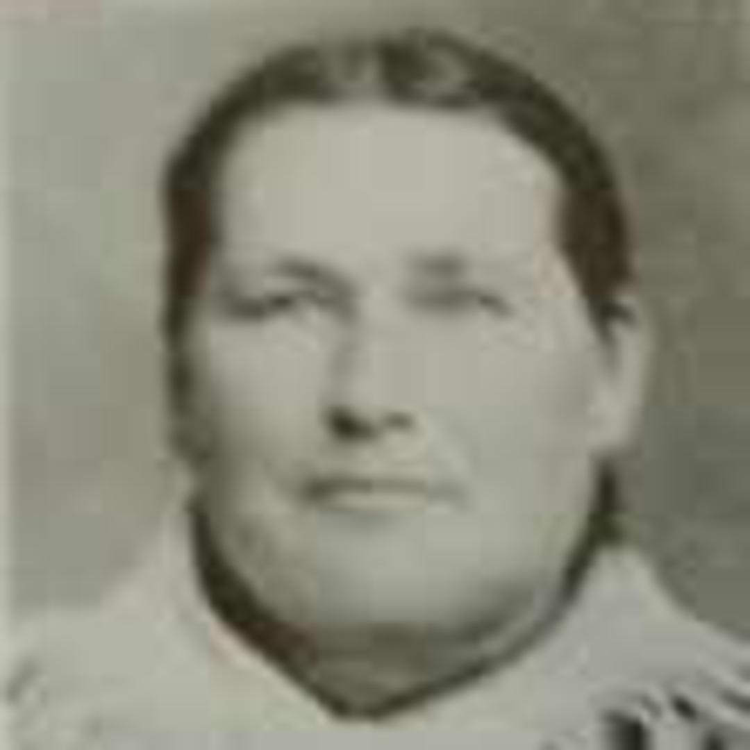 Polly Ann Ivie (1835 - 1896) Profile